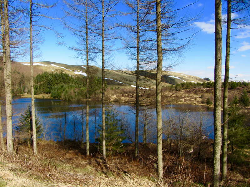 Accommodation near Aberystwyth, Wildlife in Wales